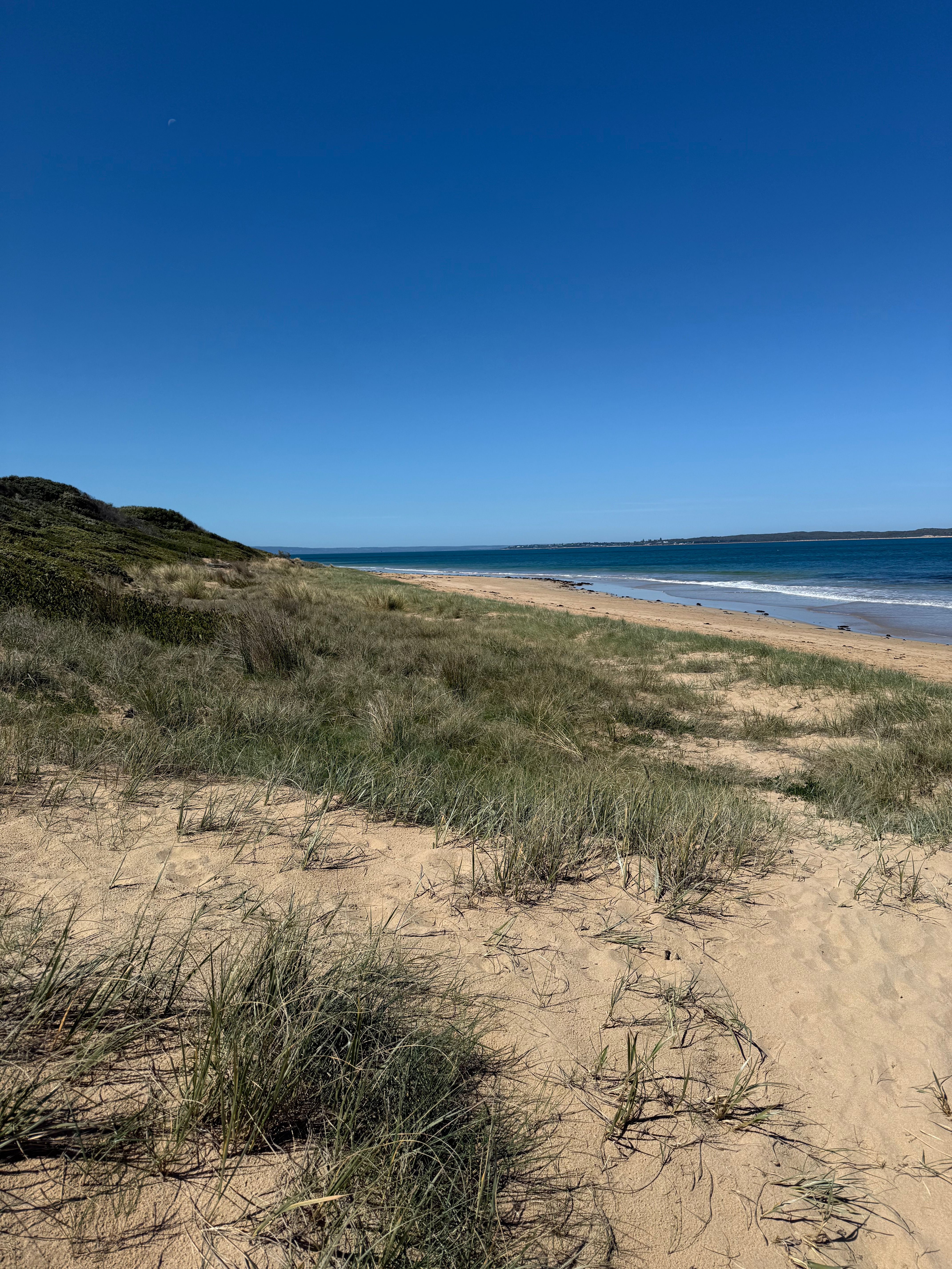 The Bellarine hero background